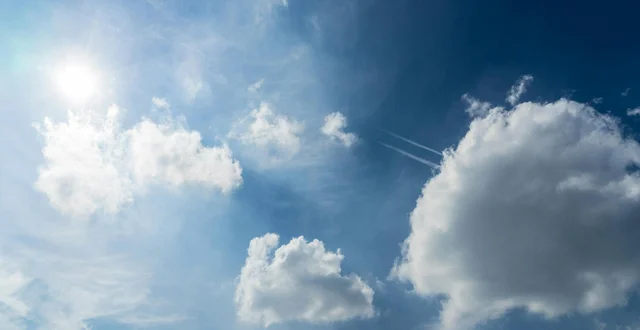 Vegmania Wlen Donaulnsel